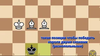 Шахматы. как поставить мат двумя слонам!?