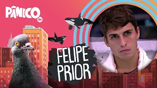 FELIPE PRIOR - PÂNICO - 08/02/21