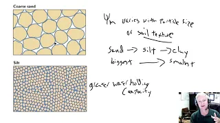 Water Relations 1D - soil water relations, hydraulic redistribution, water storage