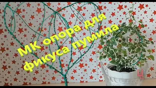 опора для фикуса пумила своими руками