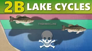 INTERMEDIATE GUIDE TO BASS FISHING: 2B - Lake Cycles (Thermocline/Turnover)