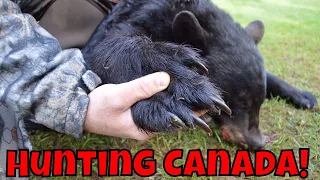 Black Bear Hunting Canada | EPIC KILL SHOT S2 E3