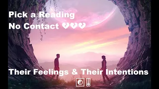 Pick a Reading - No Contact 💔💔💔 Their Feelings & Their Intentions ☯️‼️