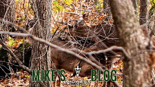 Intense Buck Fight, Two Bucks Breed Doe | Mike's Blog