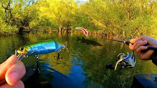 Les GROS BROCHETS chassent à nos pieds pour l'Ouverture de la pêche du carnassier 2024 !!