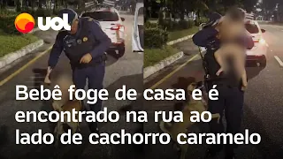 Bebê foge de casa e é encontrado na rua ao lado de cachorro caramelo; veja vídeo