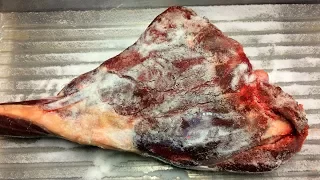 Deer Prosciutto - Part 1 - Initial Salting