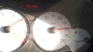 Top Speed 206 1.4L (S.King)