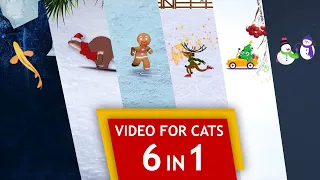 Cat Games - 6 games in 1 (Christmas special)