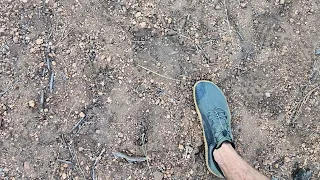 Huge Sasquatch Tracks Found II Colorado