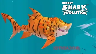 Hungry Shark Evolution | #6 Эволюция Тигровой Акулы