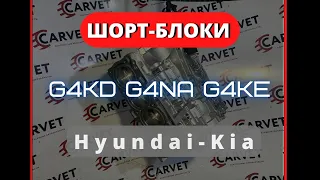 НОВЫЕ ШОРТ-БЛОКИ! G4KD G4NA G4KE! Обзор!