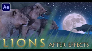 Lions - After Effects (Create Custom Lion Animations)