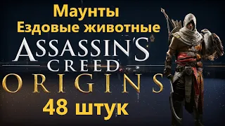 Assassin's Creed Origins - All Mounts ( 48 of them )