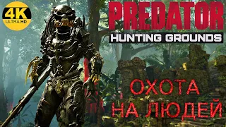 Predator Hunting Grounds🔺ИГРА ЖИВА! АЛЬФА - ХИЩНИК В ДЕЛЕ! ОХОТА НА ЛЮДЕЙ! 🔥Патч/ Patch 2.23 4K