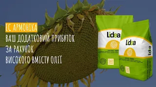 ЕС Армоніка - гібрид соняшнику Lidea