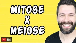 MITOSE E MEIOSE - Diferenças | Biologia com Samuel Cunha