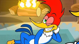 Woody Woodpecker en Francais | Compilation de 20 minutes | NOUVELLE Serie | Dessin Anime