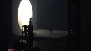 Sia - Shine Bright Like a Diamond (live clip)