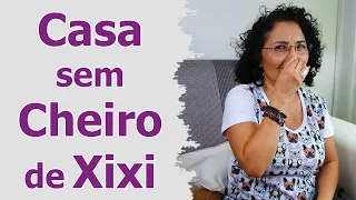 Como Tirar Cheiro de Xixi de Cachorro da Casa | Organizar Cão