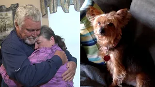 Woman Hospitalized With Broken Heart After Her Beloved Dog Dies