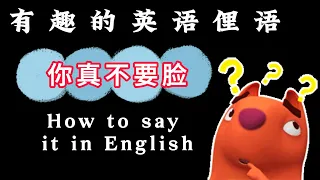 有趣又实用的英语俚语，让你的英语更地道|Interesting English slangs you should  know. Slangs in movies