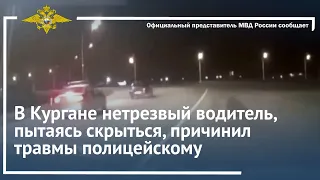 Ирина Волк: В Кургане нетрезвый водитель, пытаясь скрыться, причинил травмы полицейскому