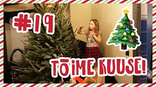 NÜÜD ON ÕIGE VLOGMAS! #19