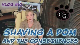 Shaving a Pomeranian and the Consequences! - Dog Grooming VLOG - Episode 10 - Gina's Grooming