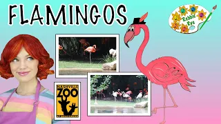 Flamingos By Rebbie Rye