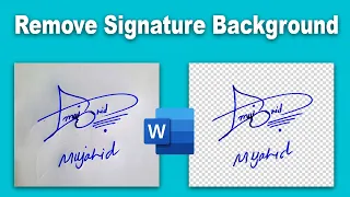 How to remove Signature Background make PNG transparent using Microsoft Word