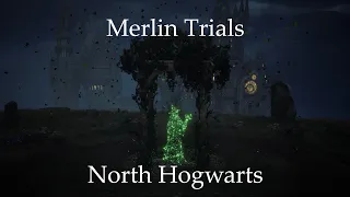 Hogwarts Legacy Merlin Trials: North Hogwarts Region