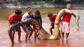 15 Shockingly Large Creatures That Will Give You Chills