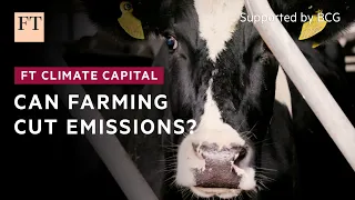 How farmers can cut emissions | FT Climate Capital