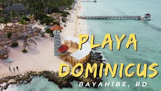 Playa Dominicus, Bayahibe 🏝🇩🇴 | Viajando con Pedro ✈️