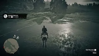 RDR2 - How I got the Missouri Fox Trotter early - Tracking method