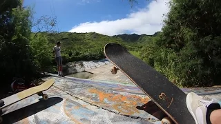 SECRET Jungle Skate Spot!