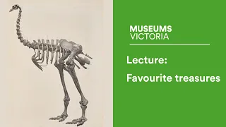 Museum Lecture: Favourite Treasures