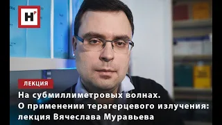 НА СУБМИЛЛИМЕТРОВЫХ ВОЛНАХ. О ПРИМЕНЕНИИ ТЕРАГЕРЦЕВОГО ИЗЛУЧЕНИЯ: ЛЕКЦИЯ ВЯЧЕСЛАВА МУРАВЬЕВА