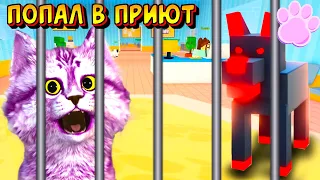 🙀КОТЁНОК ПОПАЛ В ПРИЮТ ДЛЯ СОБАК в Роблокс Симулятор - Pet Story Roblox