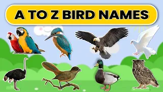 BIRDS Names Learn Bird Species in English Basic English Learning | A to Z Birds Names | ABCD