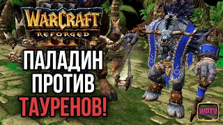 ПАЛАДИН ПРОТИВ ТАУРЕНОВ: Игроки вне меты: Warcraft 3 Reforged