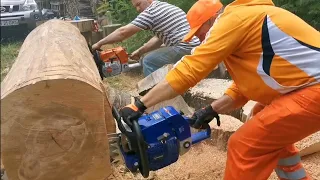 Battle of The Titans Holzfforma G 888 & Husqvarna 3120 & Stihl 881.