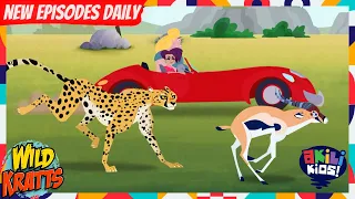 Wild Kratts | Spots And Speed | Akili Kids!