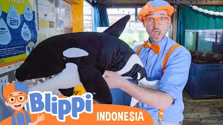 Belajar Tentang Hewan Bawah Air | Blippi Bahasa Indonesia - Video Anak-Anak | Petualangan Blippi