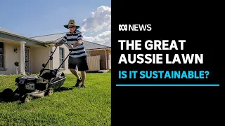 Is the 'great Australian lawn' at risk of extinction? | ABC News