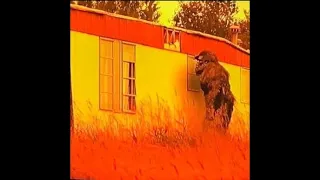 Sasquatch Growls Through Window Shakes Trailer
