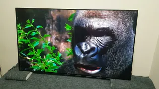 Телевизор 55" OLED55BXRLB с небольшим дефектом