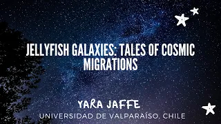 Jellyfish galaxies: tales of cosmic migrations