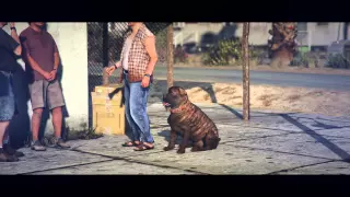 "DREAM" Grand Theft Auto V Music Video